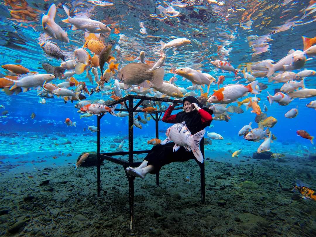 Umbul Ponggok (Kisah Desa Miliarder)