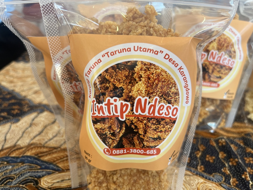 Intip Ndeso Karangdowo 